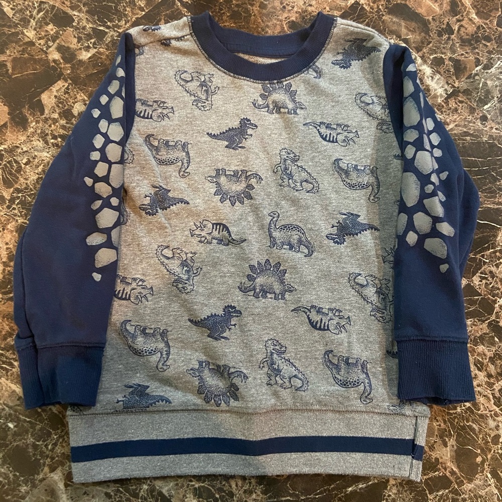 Brand NewCondition- Never Used- Dinosaurs Sweater!